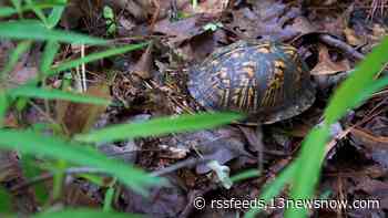 Winter Wildlife Festival to be held in Virginia Beach