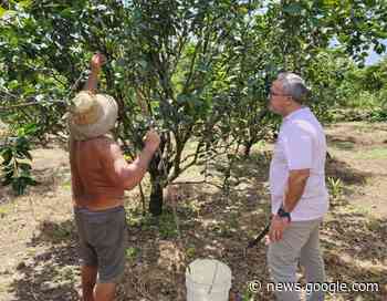 PREFEITURA DE BARCARENA CHAMA AGRICULTORES PARA ... - Portal do Carlos Baía