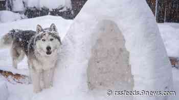Share your snow photos, videos with 9NEWS