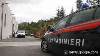 Empoli, morì sul lavoro: condannato per omicidio colposo il titolare della ditta - LA NAZIONE