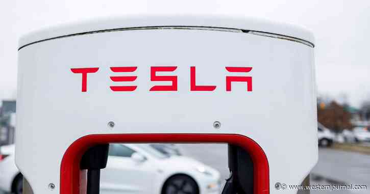 Solomon: Jury Selection Begins in Trial Stemming from 2018 Musk Tweet