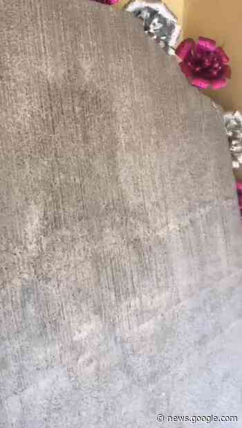 Descubren imagen de la Virgen de Guadalupe en pedazo de concreto - Diario El Mundo de Córdoba