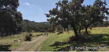 La Loba en el Camino de Guadalupe y... «¡O todos o ninguno!» - Hoy.es