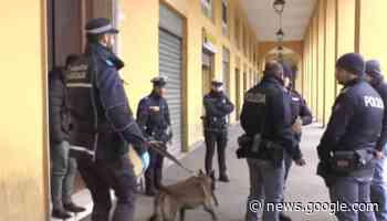Modena, viale Crispi passata al setaccio dagli agenti dopo le ... - modenaindiretta.it