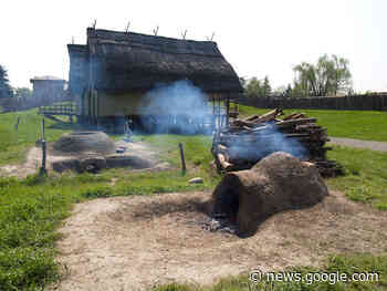 Terramara, un progetto per migliorare l'accessibilità - Modena 2000