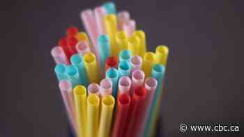 Calgary city council OK's single-use plastics bylaw