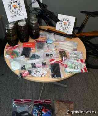 Saint John police seize fentanyl, Xanax in N.B. drug bust valued at $120K