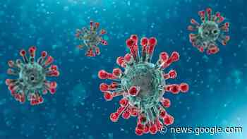 Coronavirus does not translate to 'heart attack virus' in Latin - Dunya News