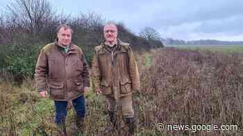 Jägerschaft Verden freut sich über Erfolge beim Rebhuhn-Schutz - kreiszeitung.de
