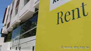 'It's just gouging': Are property investors the solution to Australia's rental crisis?