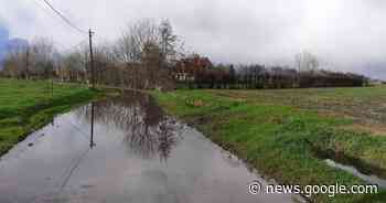Wateroverlast grotendeels onder controle | Assenede | hln.be - Het Laatste Nieuws