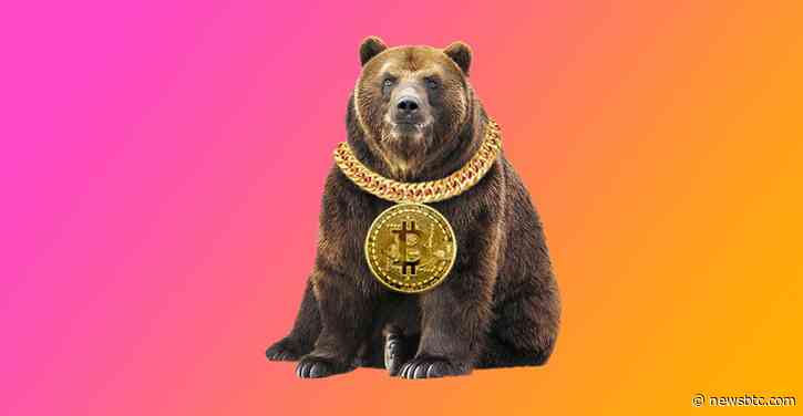 Bitcoin Price: Investors Predict 12% Decline For BTC In Next Two Weeks