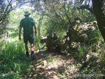 Keep your cool at Melville Koppies – Germiston City News - Germiston City News