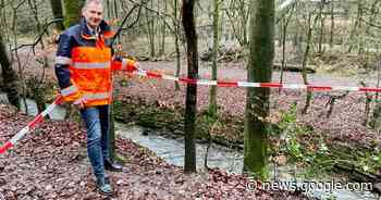 Wermelskirchen: Eifgenwanderweg bleibt gesperrt – Bäume drohen ... - Rheinische Post