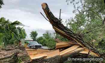 Carleton Place council requests review of town's response to May ... - Ottawa Valley News