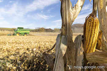 Census of Agriculture deadline approaching – Ohio Ag Net - Ohio's Country Journal and Ohio Ag Net