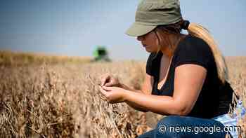 Project hopes to engage more women in agriculture - northeastNOW