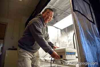 UConn Researcher Invents 'Plant Factory' for Urban Agriculture ... - University of Connecticut