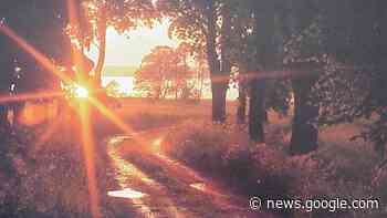 Initiative „Klimaentscheid Jena“ zum Klima-Aktionsplan - JenaTV