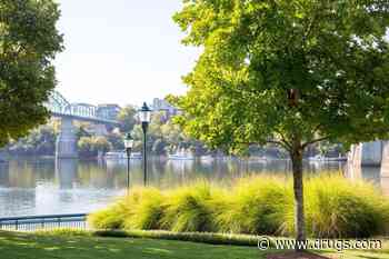 Frequent Green Space Visits Linked to Lower Use of Certain Meds