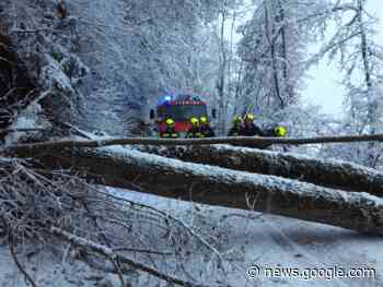 FF St. Martin im Einsatz: Baum verlegte Gemeindestraße - meinbezirk.at