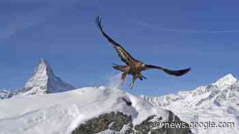 Die Alpen - Winterwelt - NDR - TV-Programm - prisma