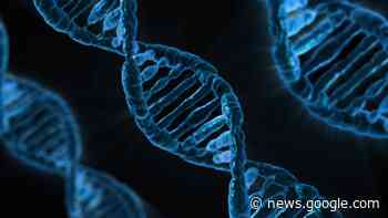 Von der Architektur zersplitterter Genome - mpg.de
