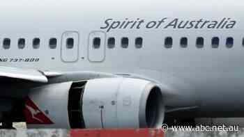 Experts reveal how common it is for planes to suffer engine failure after Qantas flight drama