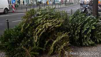 17 Wertstoffhöfe im Landkreis Starnberg nehmen ausgediente ... - Merkur.de