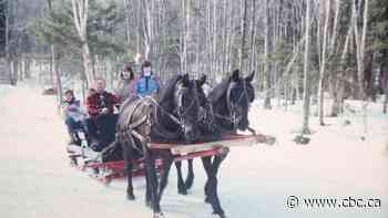 Residents near Lac-Mégantic fighting rail relocation that is 'destroying our lives'
