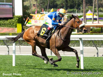 Queen Ofthe Temple Leads Wide Open Field For Marathon Astra ... - Paulick Report