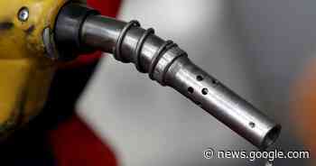 Twee jongemannen riskeren 10 maanden cel voor de diefstal van ... - Het Laatste Nieuws