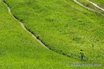 Ontario integrity commissioner, auditor general to launch Greenbelt ... - TimminsToday
