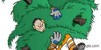 Laatste kerstboomophaling op vrijdag 20 januari - Knokke Heist