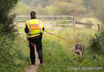 Griesheim: Kupferkabel im Visier Krimineller / Polizei sucht Zeugen - Aktuelles für Deutschland