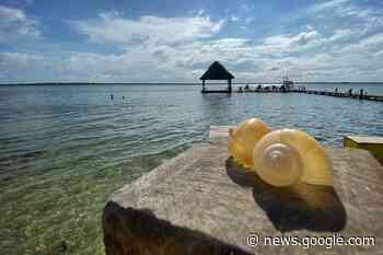 Nominan a Bacalar y Playa del Carmen como destinos sustentables - La Jornada Maya