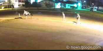 Waco police investigating after vandals seen damaging mailboxes - KWTX