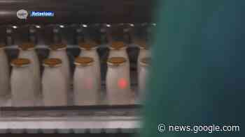 Danone Rotselaar wil tegen 2030 30% minder methaan gebruiken ... - ROB-tv