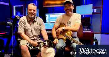 Pet shop boys: The Perth duo making music for the world's cats and ... - WAtoday