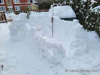 Snow fort builders not beaten by shortage of snow - Sherbrooke Record