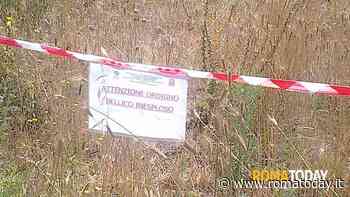 Castelli Romani: trovato un ordigno della seconda guerra mondiale inesploso