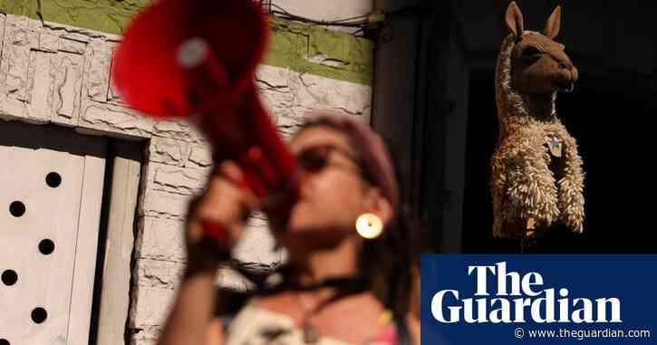 Chile rejects $2.5bn iron and copper mine planned near penguin reserve