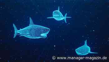 IT-Sicherheit: Vertuschte Datenlecks