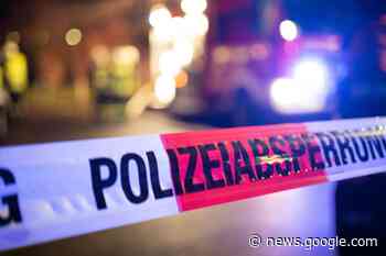 Spaziergängerin findet bei Edesheim eine Granate - Spezialkräfte ... - Northeim jetzt