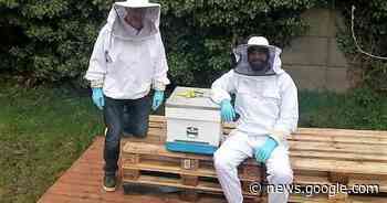 Imkers Neteland klinken op 2023 tijdens nieuwjaarsdrink in ... - Het Laatste Nieuws