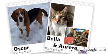 WAGNER TAILS: Oscar and Bella & Aurora - WEAU
