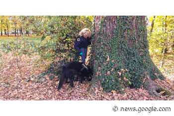Polizia di Stato di Parma. Comunicato stampa Controlli straordinari ... - Gazzetta dell'Emilia & Dintorni