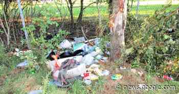 Grotere sluikstort resulteert voortaan in hogere opruimkosten | Geel ... - Het Laatste Nieuws