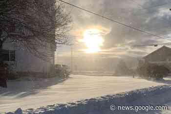 'Brutal' weather has Sidney, North Saanich police checking on the ... - Victoria News