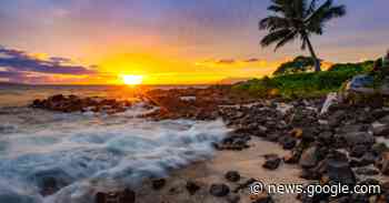 Here are some of the cheapest flights you can book Calgary - Curiocity